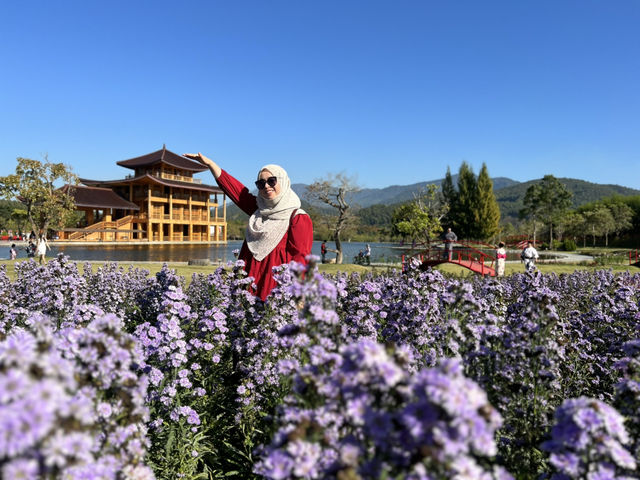 ฮิโนกิแลนด์ (HINOKI LAND) เชียงใหม่