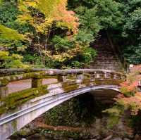 สวนป่าน้ำตกมิโนะ Osaka ดูน้ำตก ใบไม้เปลี่ยนสี