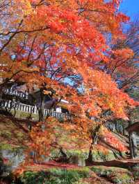 📍 【栃木】鹿沼市の彩る紅葉