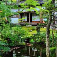 泉岳寺🪻靜謐的禪意