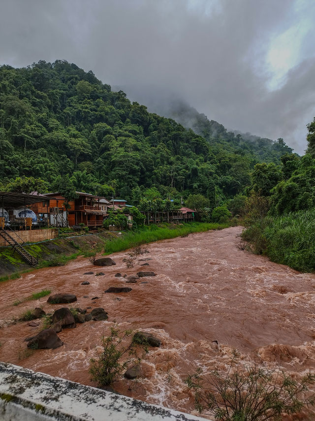 Sapan in rainy season.Nan province,Thailand