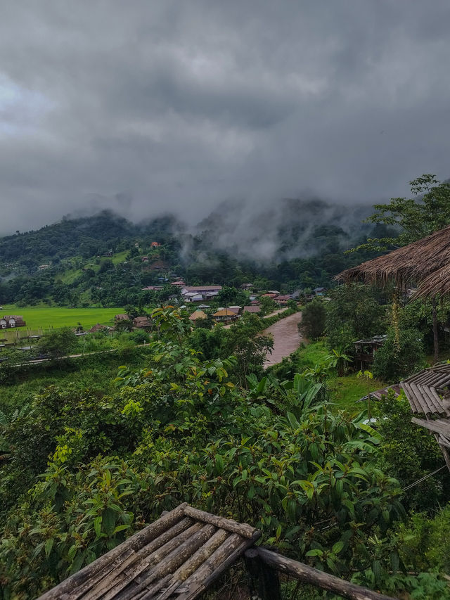 Sapan in rainy season.Nan province,Thailand