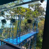 Blue​ terrace​ คาเฟ่​วิวขนอมที่สวยที่สุด
