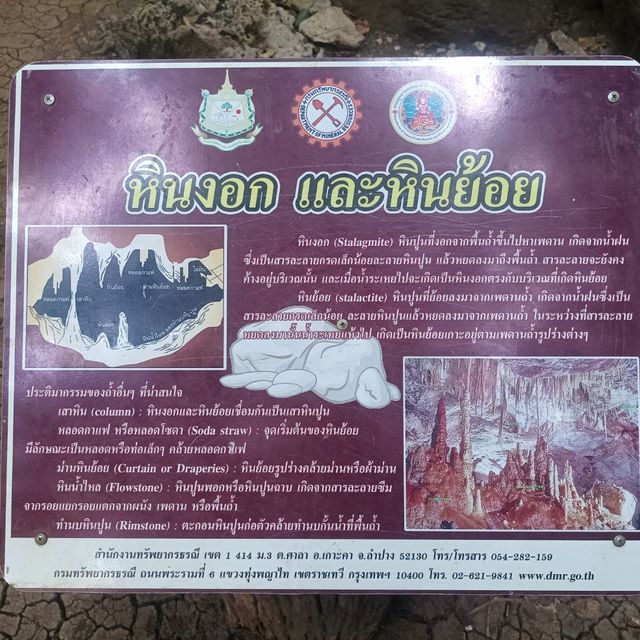 หุบป่าตาด