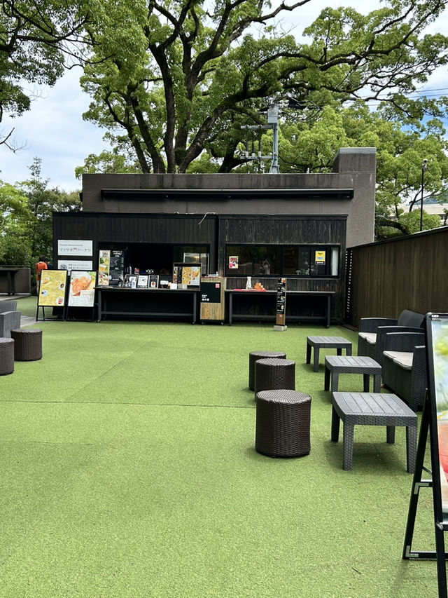 【熱海】来宮の杜で癒しとパワーをもらう旅🪄