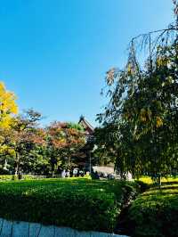【東京】淺草寺：東京最古老的寺廟，濃厚的日本風情