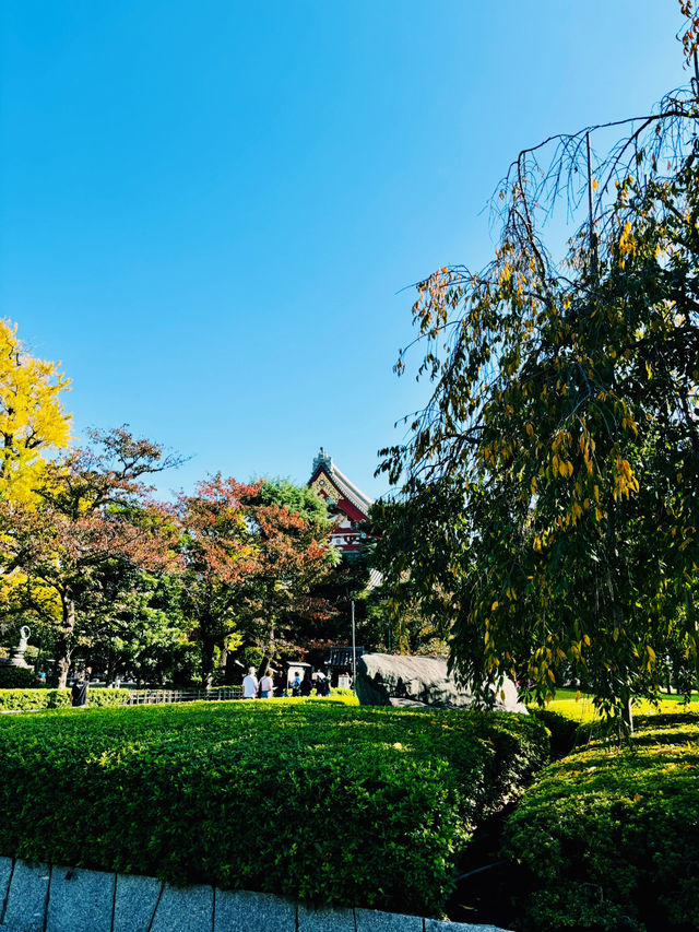 【東京】淺草寺：東京最古老的寺廟，濃厚的日本風情