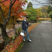 🍁Autumn in Yufuin🇯🇵