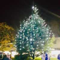 The Hatfield Christmas Light Switch-