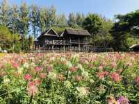 Jim Thompson Farm