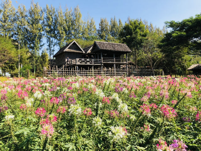 Jim Thompson Farm