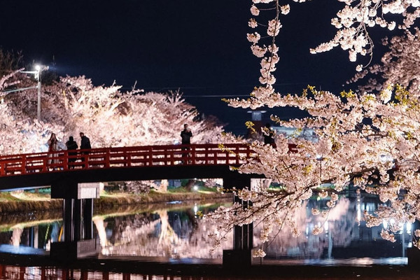 【青森弘前城】桜の名所で感動のお花見を！ | Trip.com 弘前