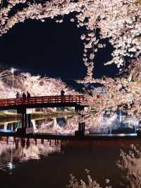 【青森弘前城】桜の名所で感動のお花見を！