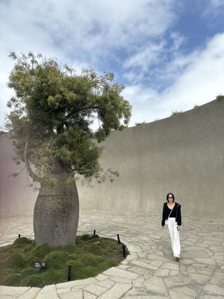 KAWS' Latest Large Sculpture at Pt Leo Estate Winery ~ Melbourne ~