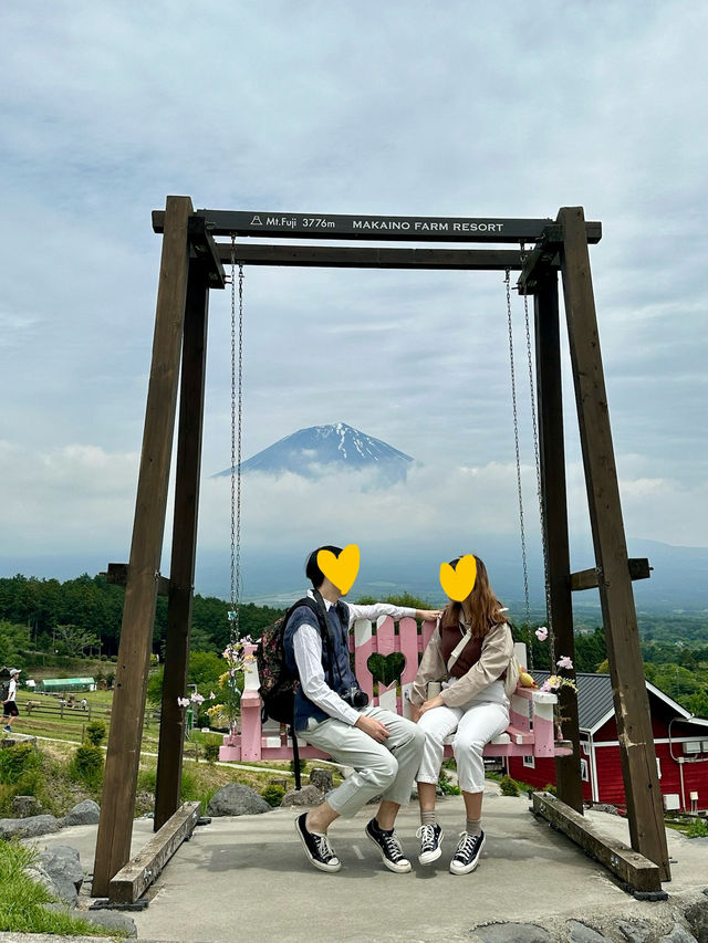 可愛度滿分的富士山馬飼野牧場！