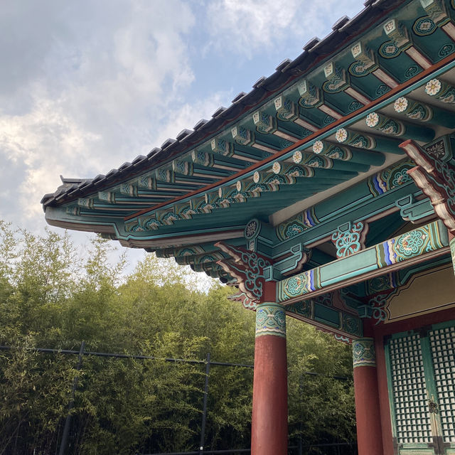 📸설 연휴에 오죽헌 방문은 어떨까요⁉️