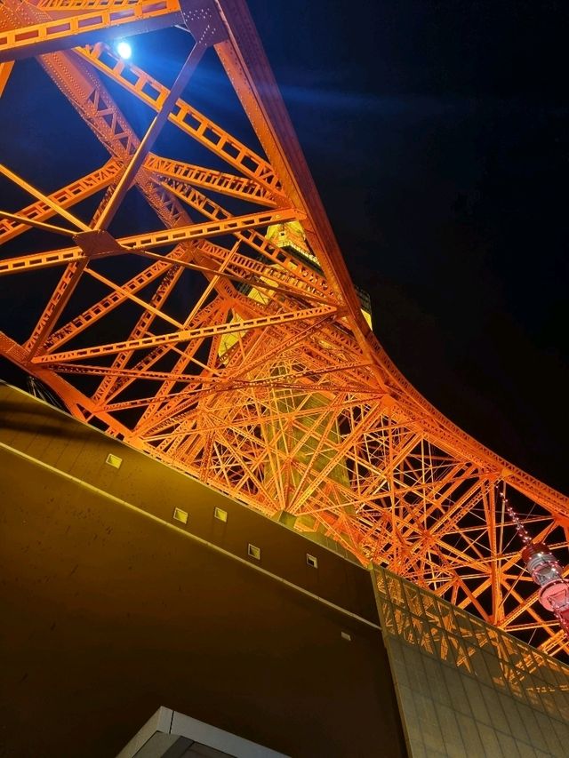 도쿄의 랜드마크! 도쿄타워🗼