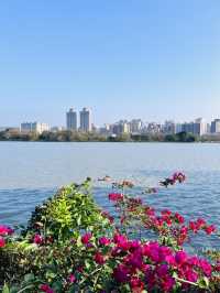 ［桃園旅遊］桃園埤塘1-16號池💧桃園小秘境
