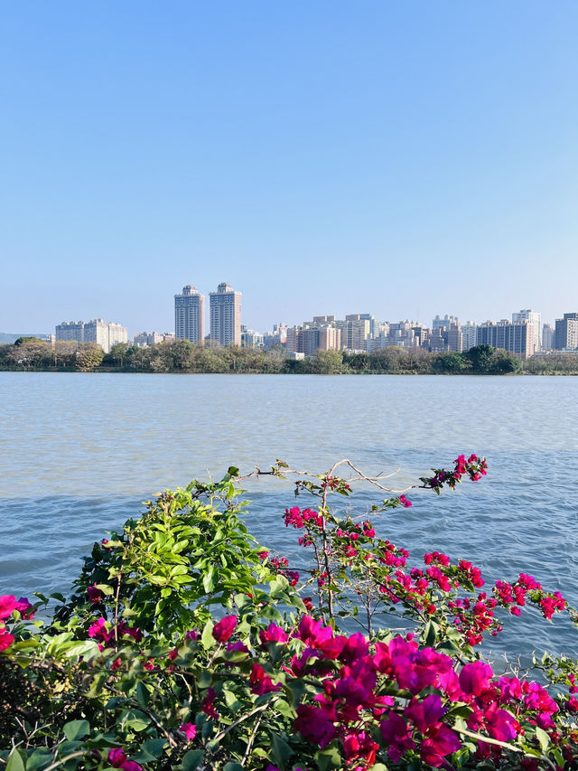 ［桃園旅遊］桃園埤塘1-16號池💧桃園小秘境