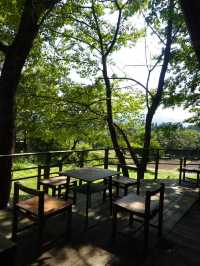 【新潟】アートと癒しのひととき！隠れ家カフェ☕️