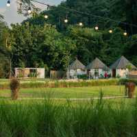 Ile Cafe & Camping Khaoyai🏕️🌿🛖
