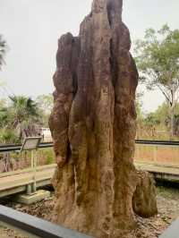 Nature’s Playground: A Memorable Visit to Litchfield National Park