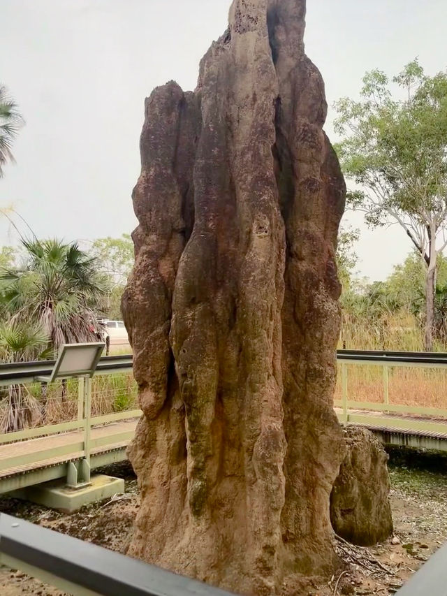 Nature’s Playground: A Memorable Visit to Litchfield National Park