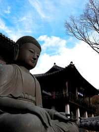 韓國大邱_秋意必訪 桐華寺Donghwasa Temple