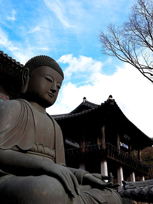 韓國大邱_秋意必訪 桐華寺Donghwasa Temple