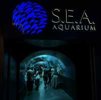 「新加坡」 S.E.A. 海洋館，失落的水下文明