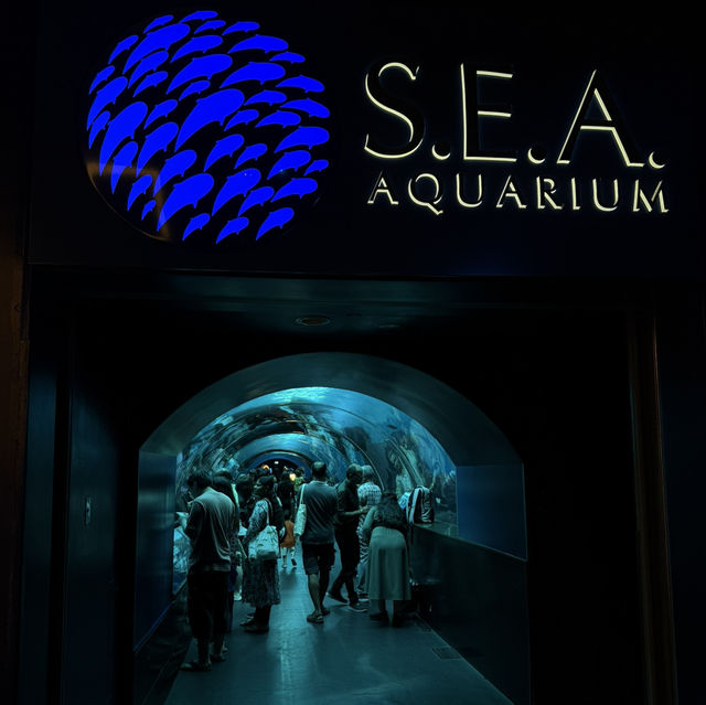 「新加坡」 S.E.A. 海洋館，失落的水下文明