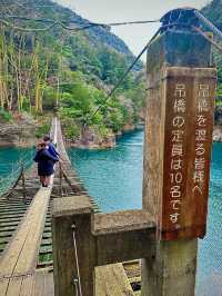 【静岡県】世界が認めた‼️秘境にある絶景吊り橋✨