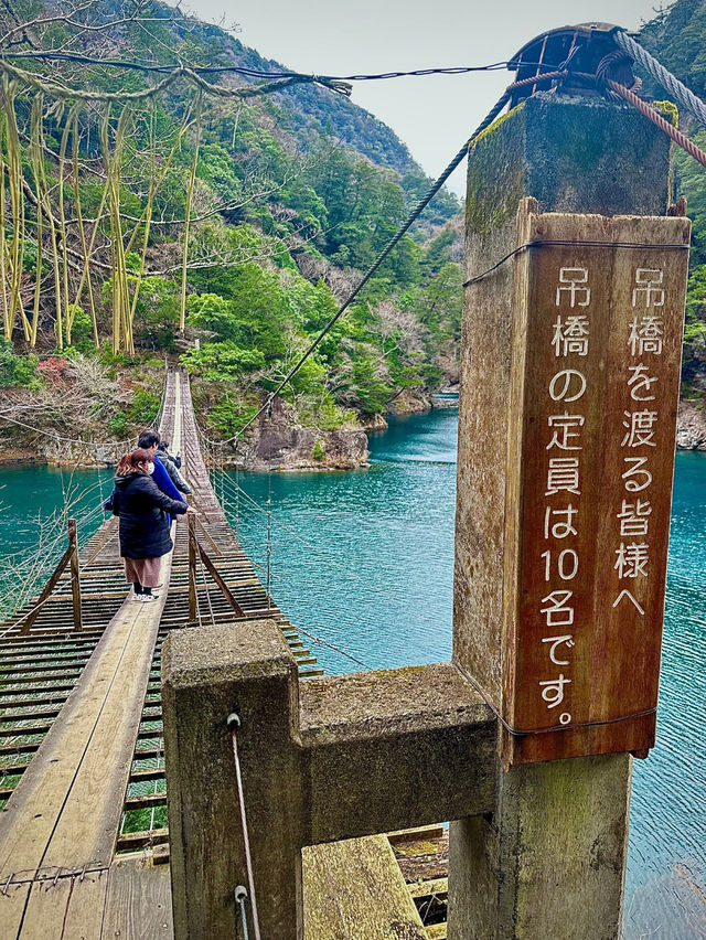 【静岡県】世界が認めた‼️秘境にある絶景吊り橋✨