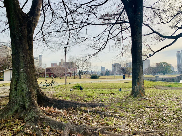 Relax in the Tranquil Parks Near Osaka Castle