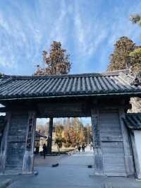 【宮城県】伊達家の菩薩寺　瑞巌寺