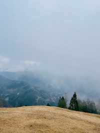 Qingjing Farm🐑 — Your Alpine Escape in Taiwan!