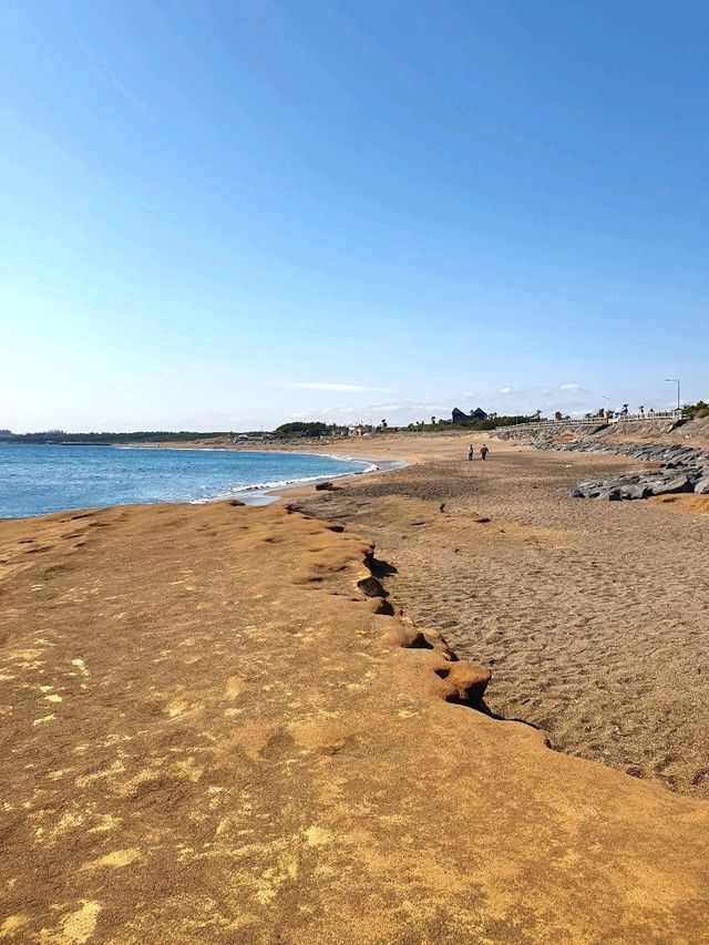 푸른 바다와 거친 절벽이 만든 감동! 🌊 사계해안에서 힐링 여행 ✨