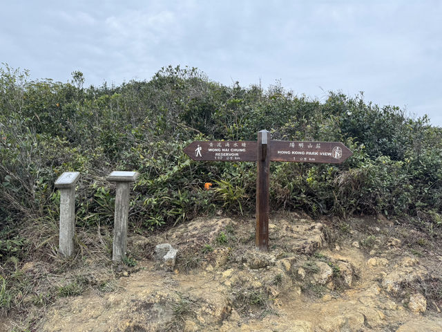 黃泥涌水塘：情人節的浪漫逃逸地 💖🏞️