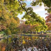 天神中央公園～美麗河濱🍂🎶