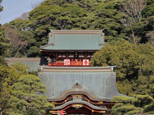 鶴岡八幡宮 遠離大都市煩囂最佳目的地!! 真的巨出片😻😻