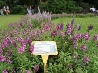 Nature in the City: Exploring Hong Kong Zoo and Botanical Gardens