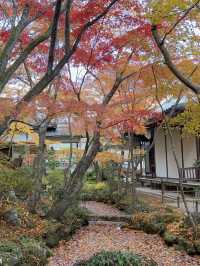 京都｜盡顯禪意之美-常寂光寺 風水布局與神佛傳說