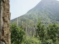 Wisdom in the Mountains: A Journey Through Hong Kong’s Quiet Gem