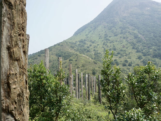 Wisdom in the Mountains: A Journey Through Hong Kong’s Quiet Gem