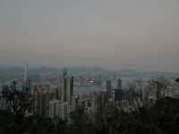 Heart of Hong Kong: A City Center Adventure