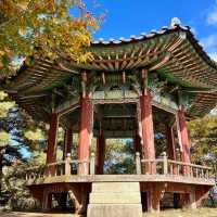 Autumn Splendor at Namhansanseong: A Walk to Remember🍁 