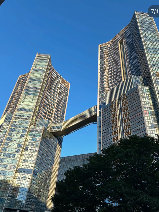 Seoulful Adventures: A Perfect Blend of Past and Future