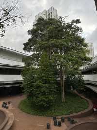 A Serene Escape at uTown Green, NUS