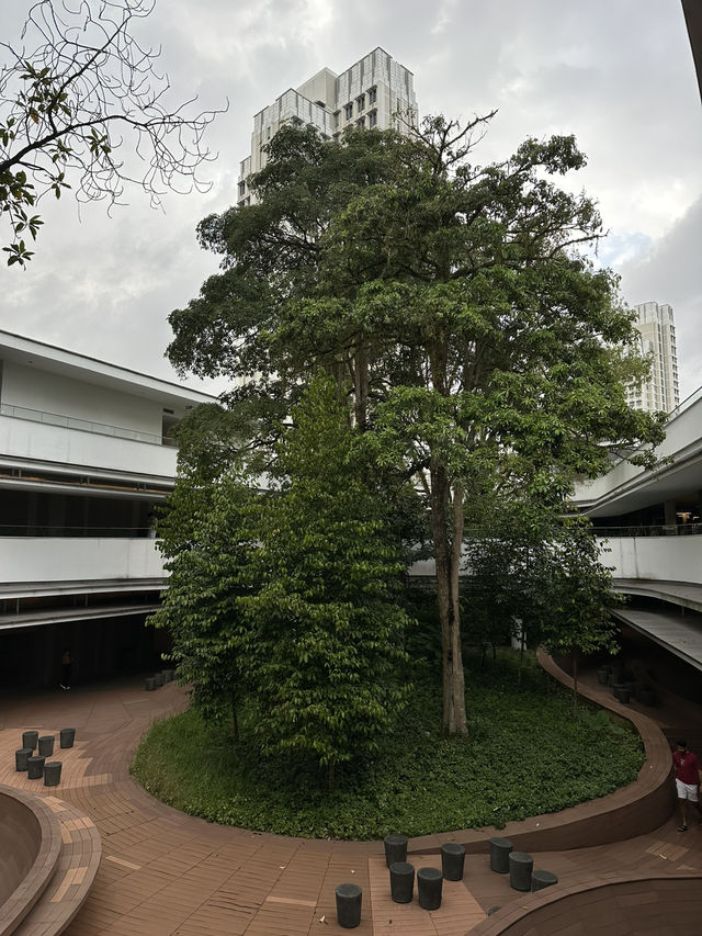 A Serene Escape at uTown Green, NUS