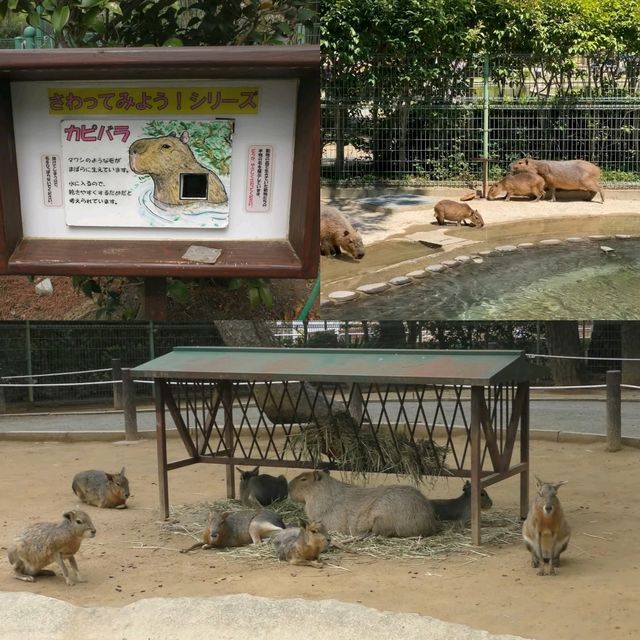 福岡好去處